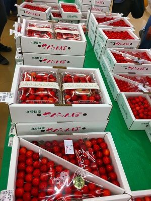 Img_68910618 東根市よってけポポラのさくらんぼ