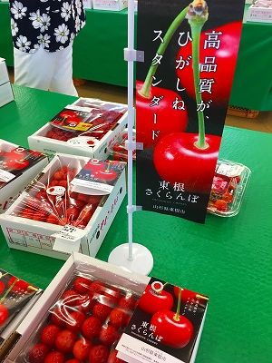 Img_68920618 東根市よってけポポラのさくらんぼ