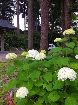 Img_7434_2 Img_7434_2