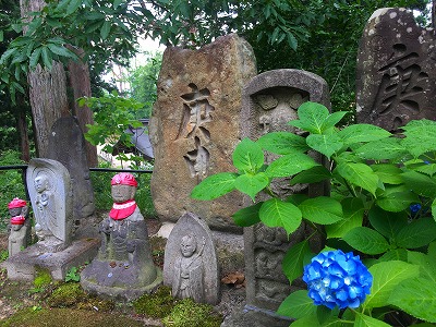 Img_7440 Img_7440