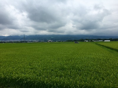 Img_7937 山形蔵王