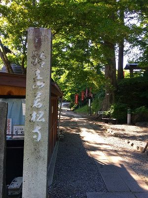 Img_82000827 若松観音