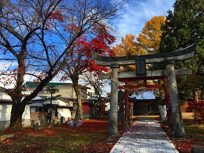 若木神社の紅葉