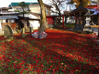 Img_0125 紅葉