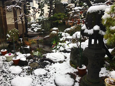 Img_0258 雪が降った様子