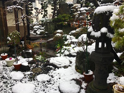 雪が降った様子