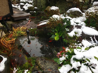 Img_0259 雪が降った様子