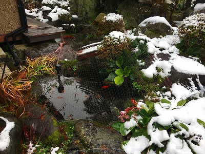 雪が降った様子