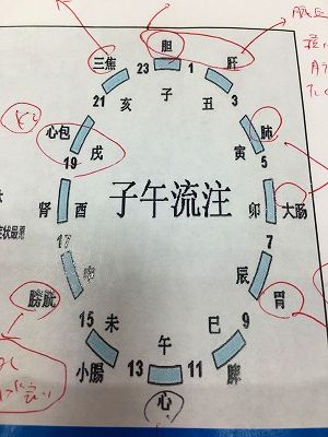 Img_0547 子午流注