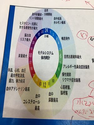 Img_0548 体内時計モデルシステム