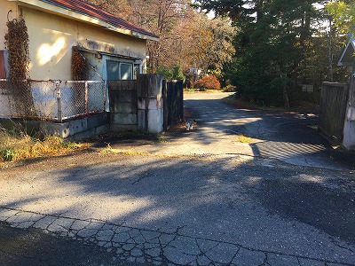 Img_04791205 昼休みの散歩をしていると猫が歩いてきました!