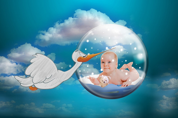 Baby2710265_960_720 コウノドリやって来た!