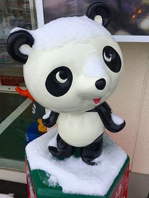 Img_08531228 パンダ