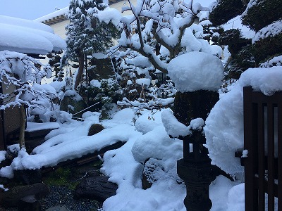 Img_0887 我家の庭