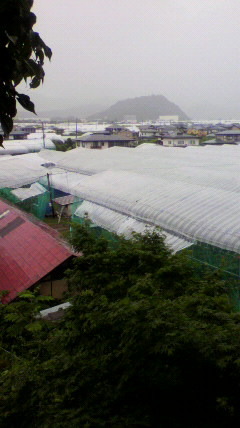 おはようございます。山形、...