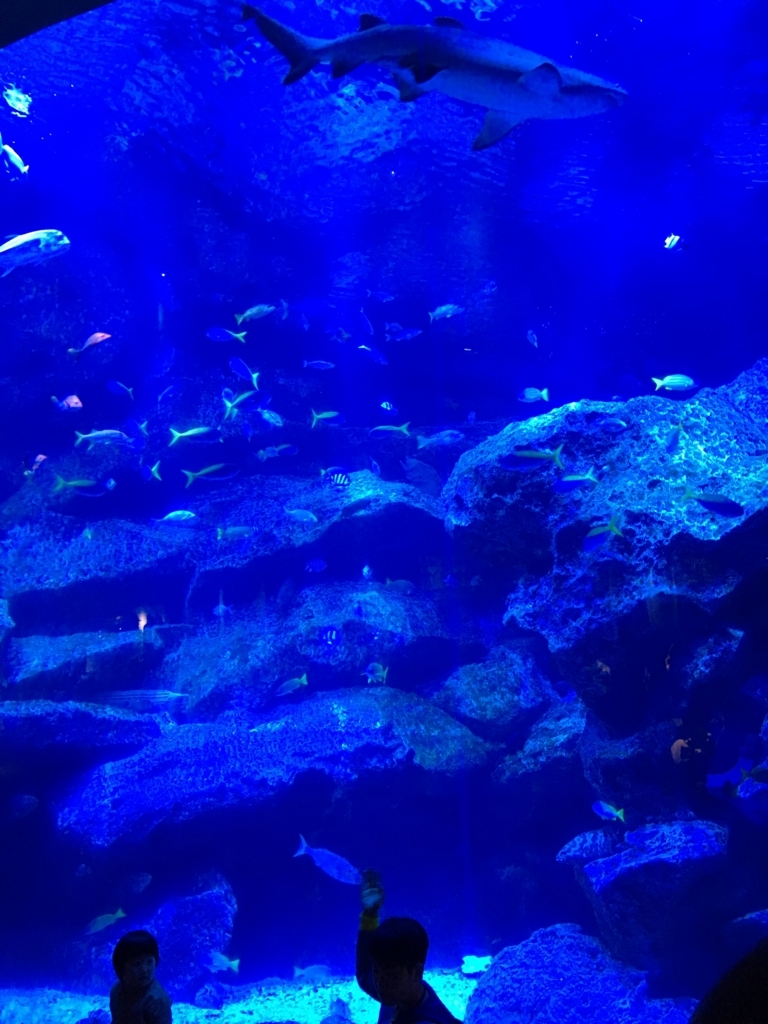 水族館