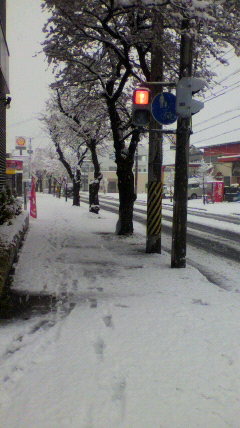 雪が降りました。４月の雪は...