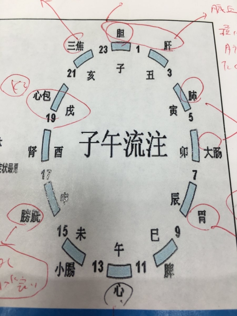 f:id:jdy00247:20180405163036j:plain f:id:jdy00247:20180405163036j:plain