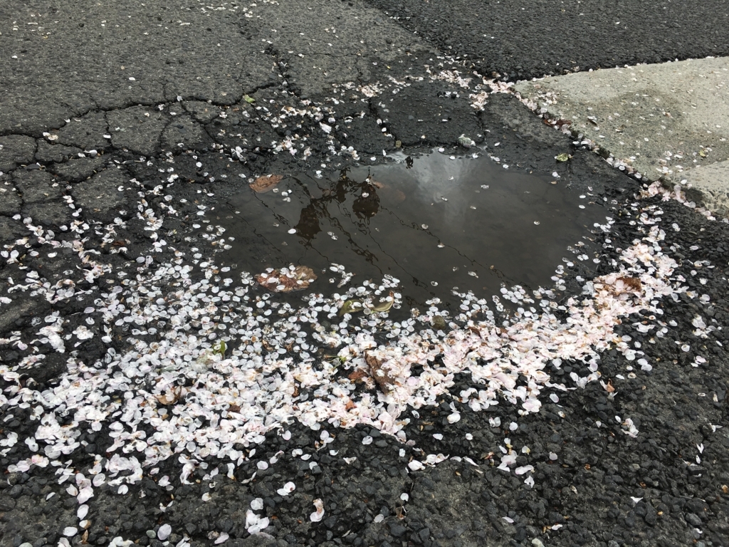 f:id:jdy00247:20180416142905j:plain 山形市内桜が満開でし