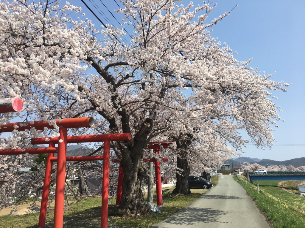 f:id:jdy00247:20180420160811j:plain 東根市白水川堤防の桜満開です