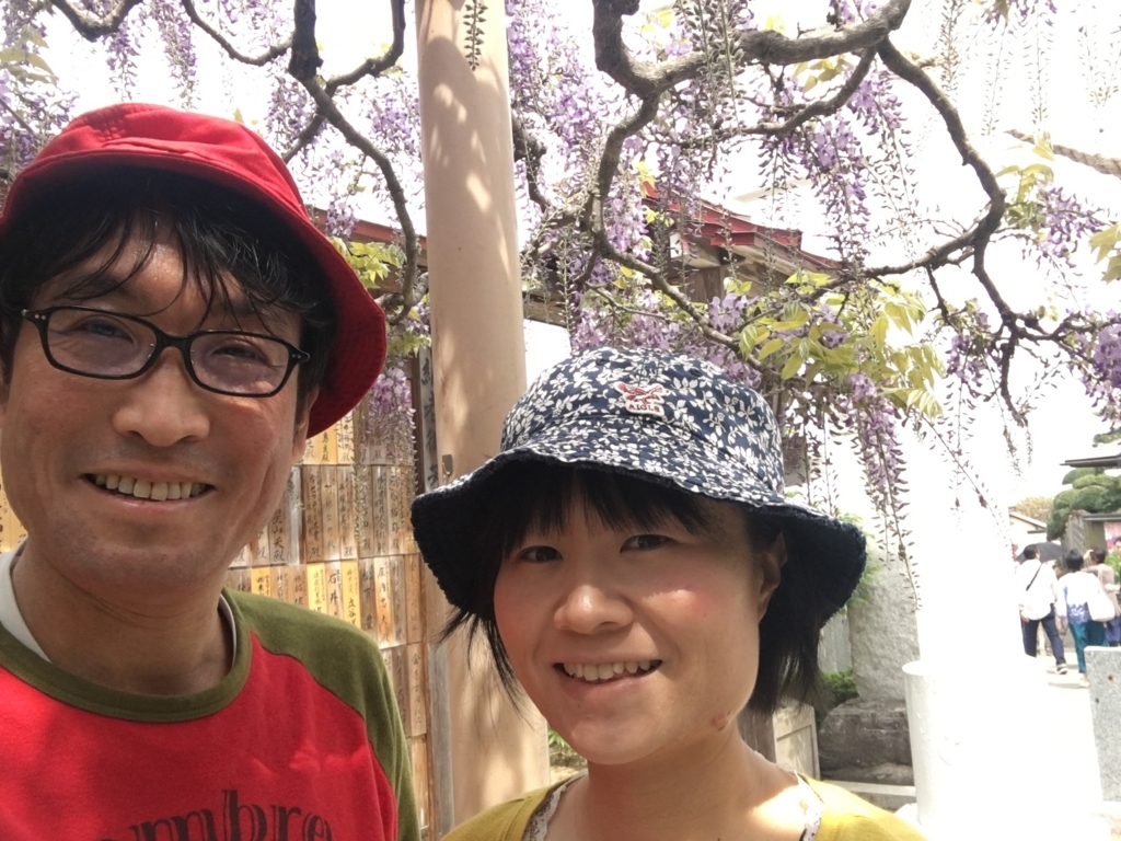 f:id:jdy00247:20180503110737j:plain 藤棚