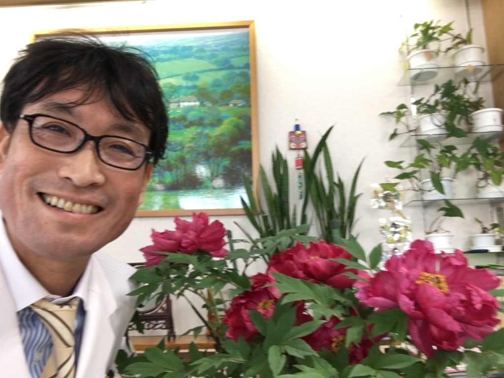 f:id:jdy00247:20180515095226j:plain 大輪の牡丹の花