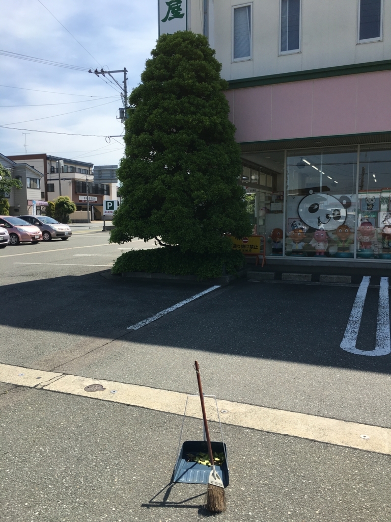 f:id:jdy00247:20180522161623j:plain モチノキの葉っぱ