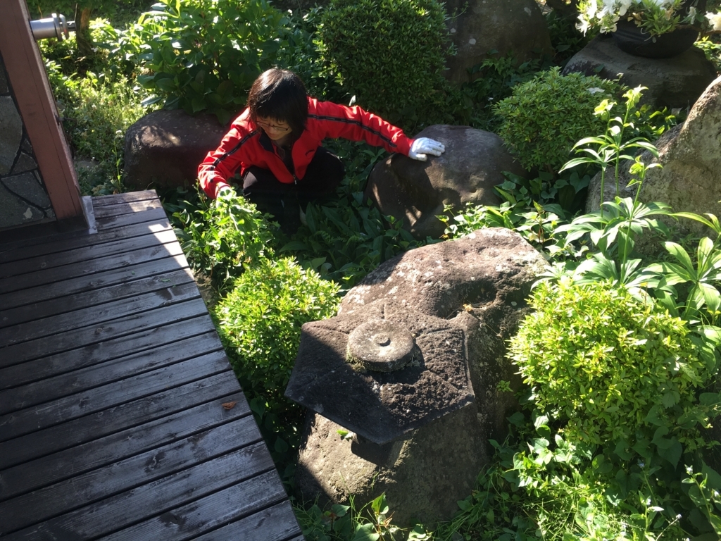 f:id:jdy00247:20180522163650j:plain 妻の草むしり