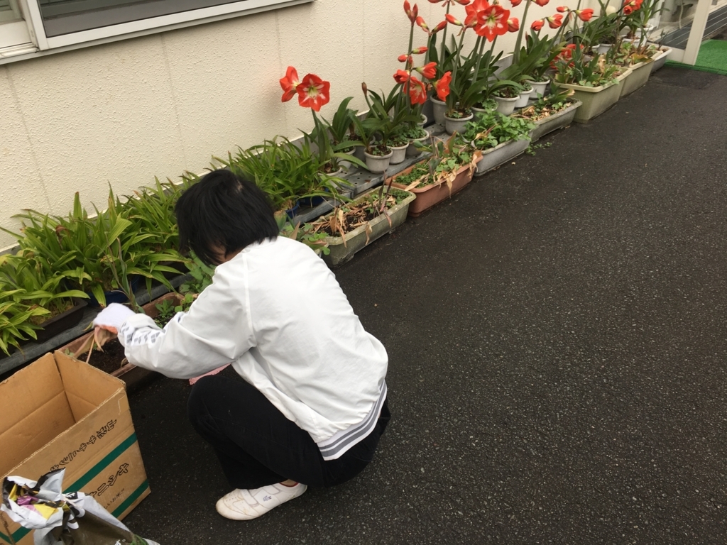f:id:jdy00247:20180524162257j:plain 土いじり