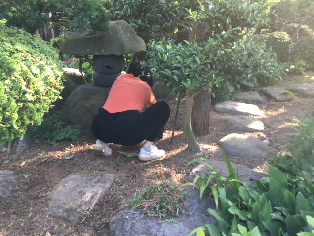 f:id:jdy00247:20180604153723j:plain 草むしり