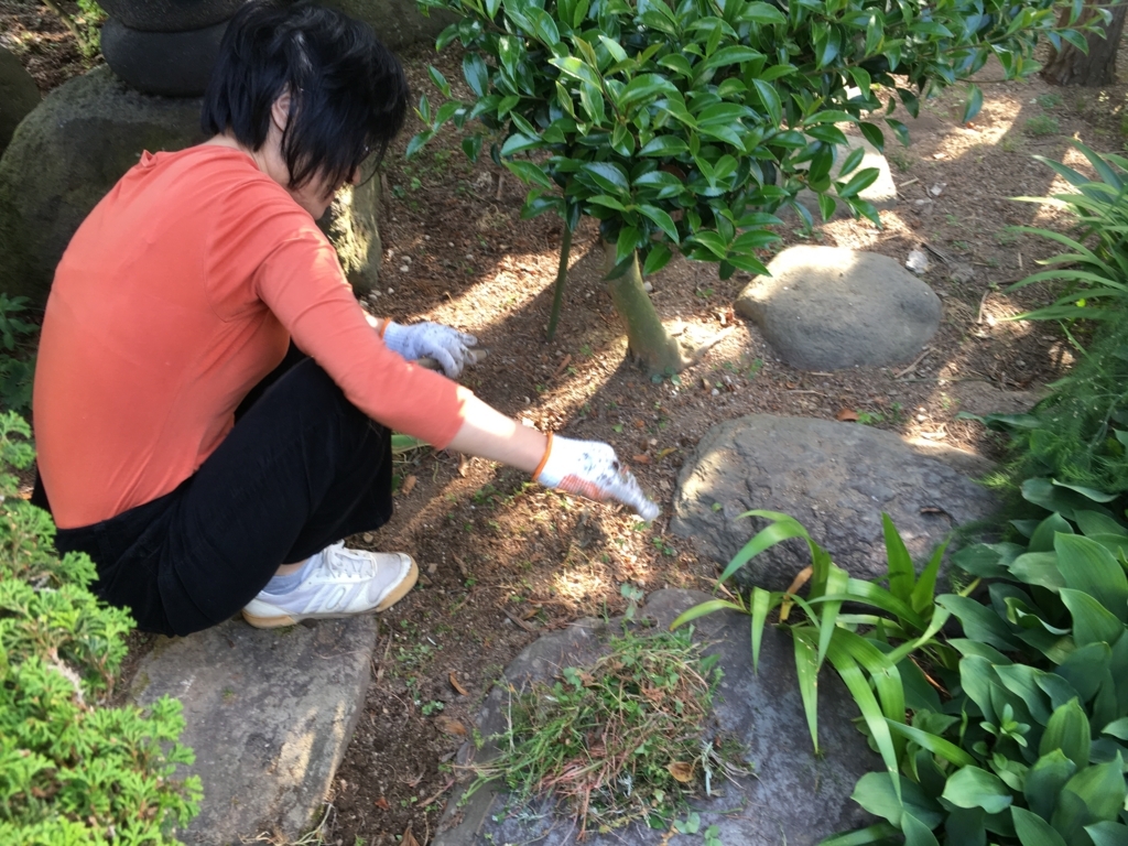 f:id:jdy00247:20180604153756j:plain 草むしり
