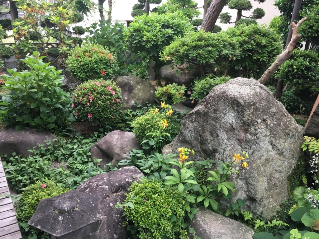 f:id:jdy00247:20180606155604j:plain 石の陰で草むしりしていました。