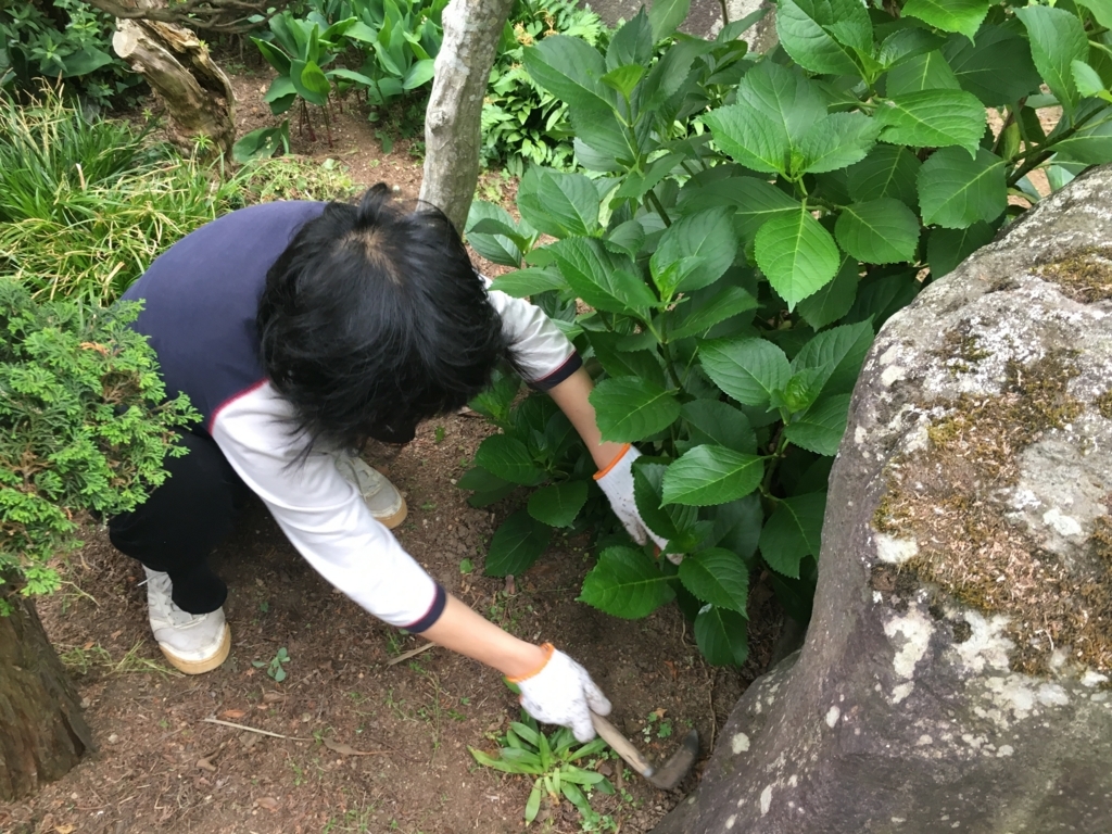 f:id:jdy00247:20180606155655j:plain 妻です