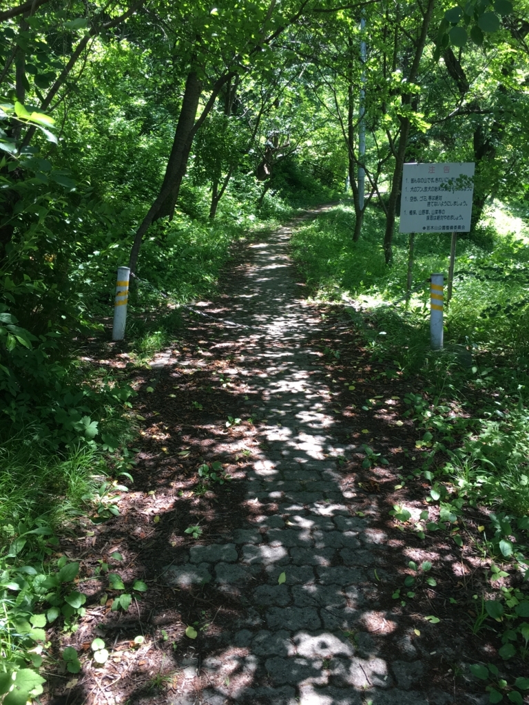 山形県東根市神町若木山です