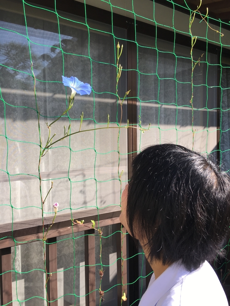 f:id:jdy00247:20181005184021j:plain f:id:jdy00247:20181005184021j:plain