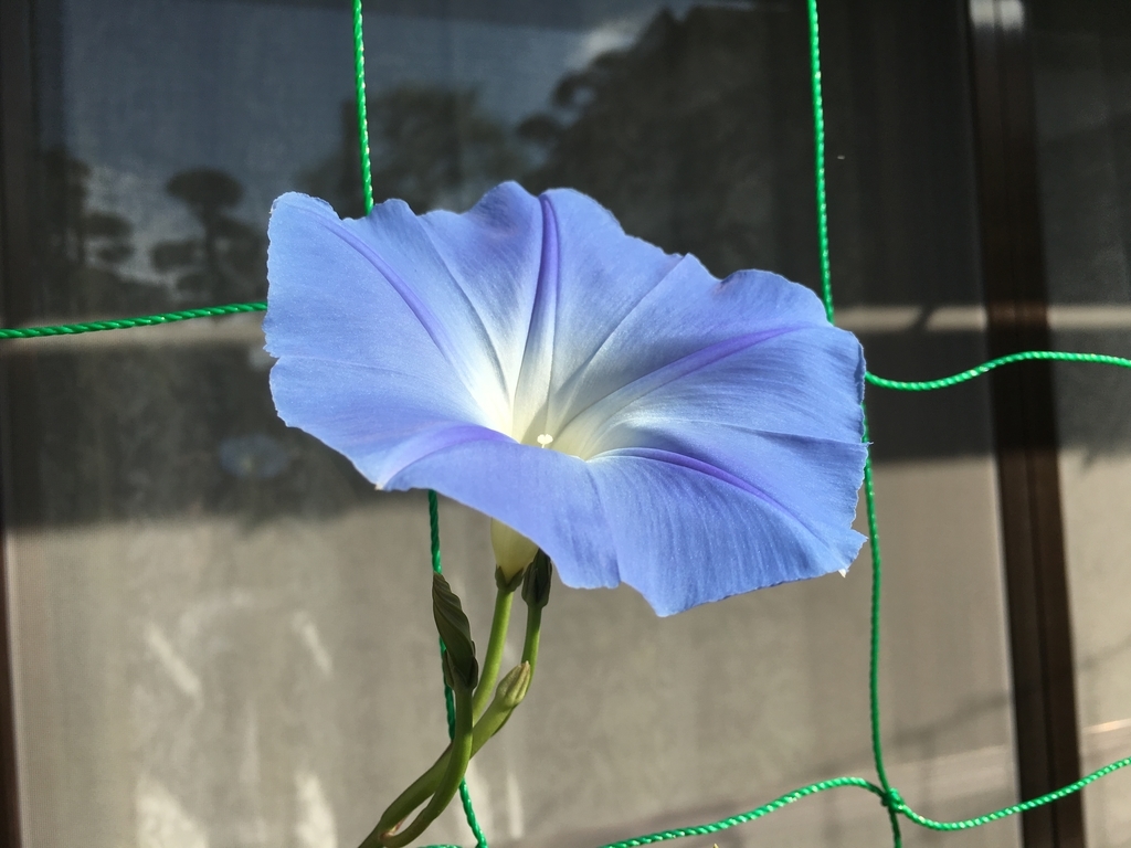 f:id:jdy00247:20181005184048j:plain f:id:jdy00247:20181005184048j:plain