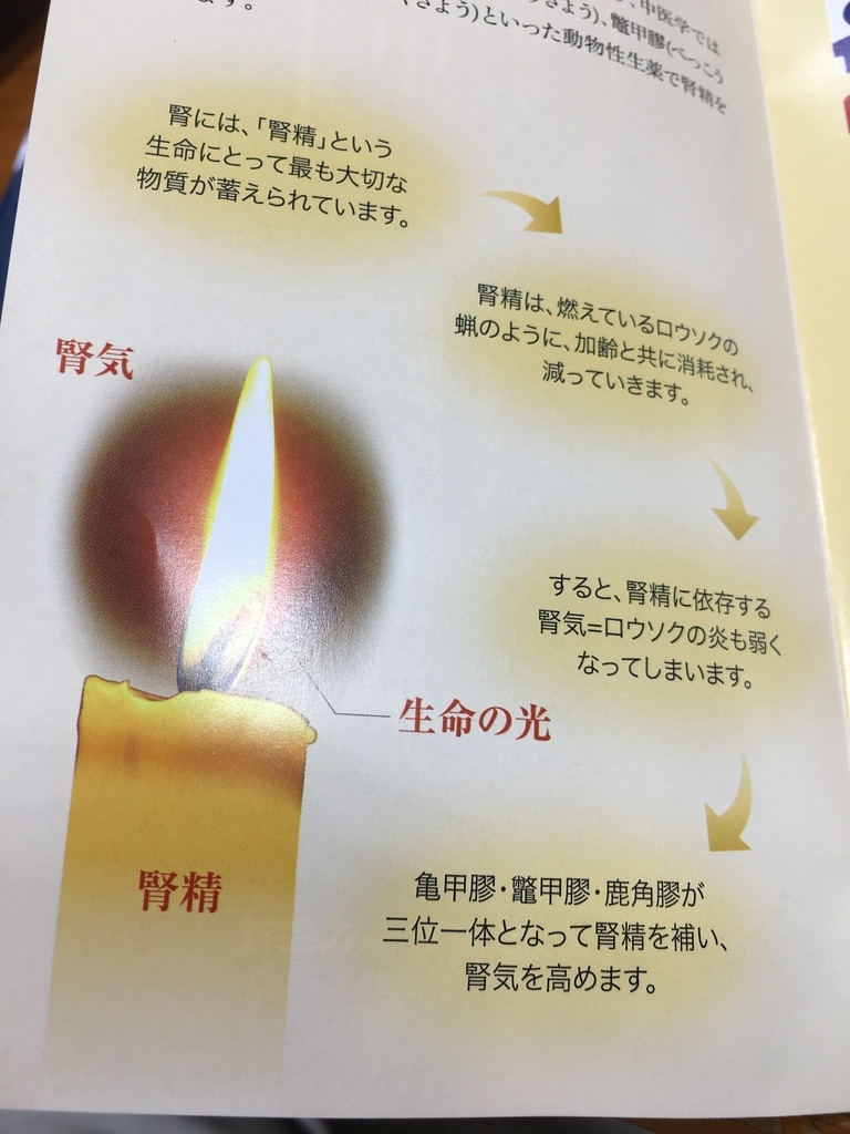 f:id:jdy00247:20181009170729j:plain f:id:jdy00247:20181009170729j:plain