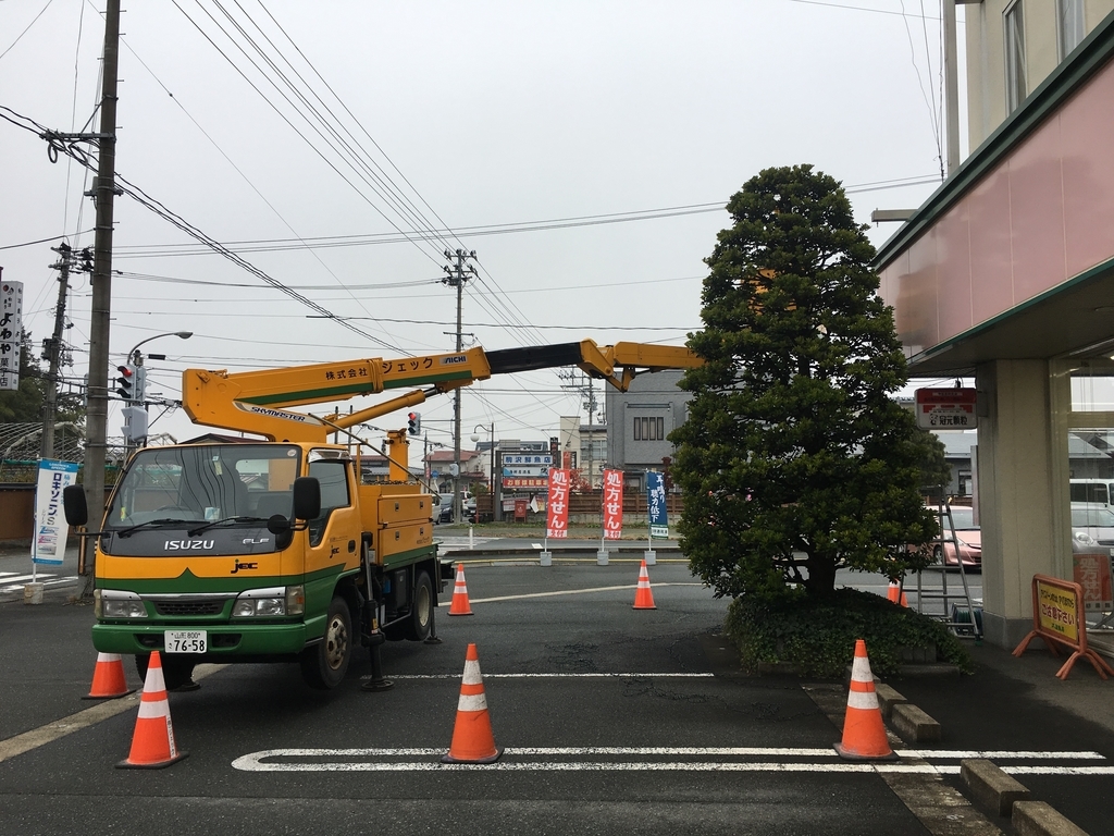 f:id:jdy00247:20181122115120j:plain モチノキにクリスマスイルミネーションの飾り付け