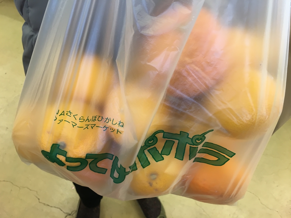 f:id:jdy00247:20190318101809j:plain f:id:jdy00247:20190318101809j:plain