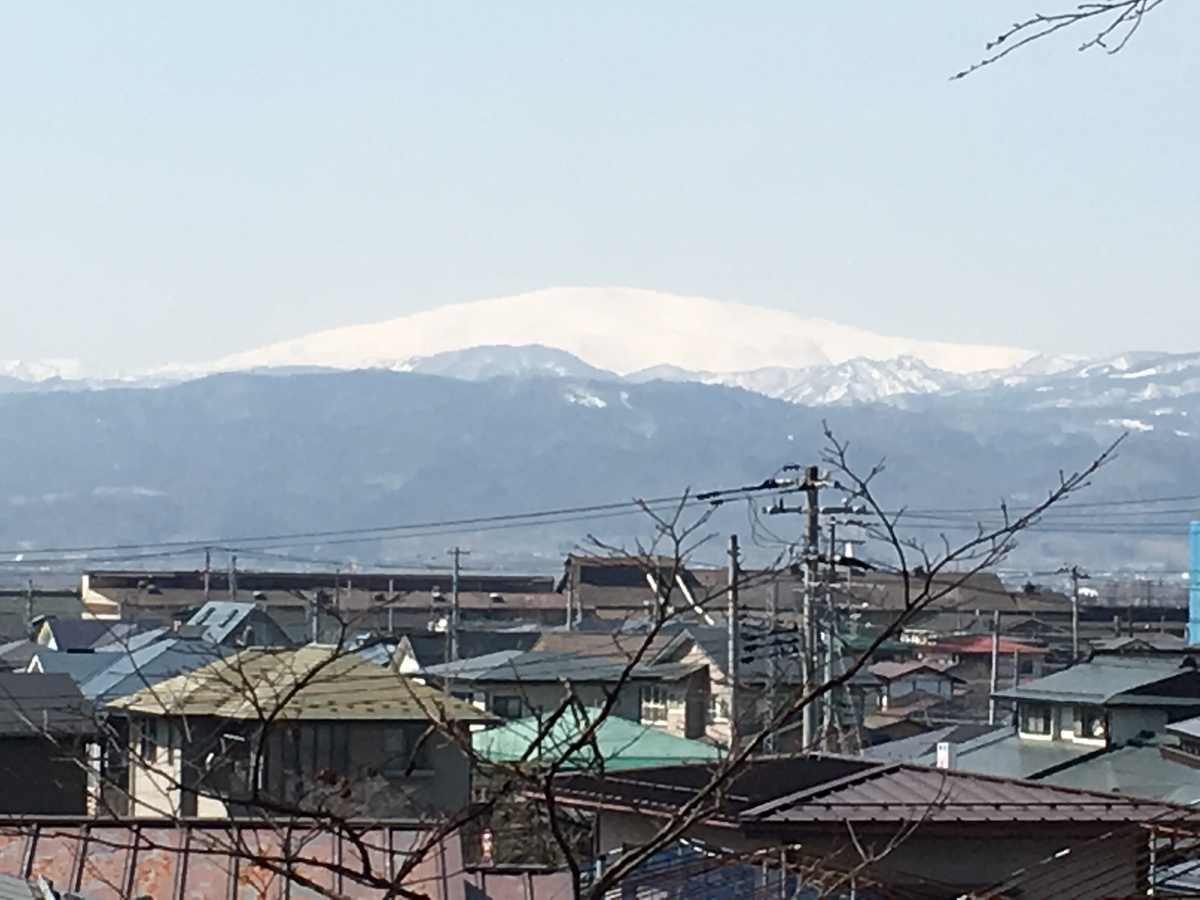f:id:jdy00247:20190320155922j:plain f:id:jdy00247:20190320155922j:plain