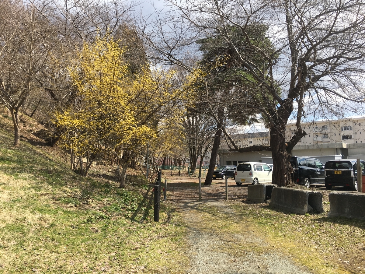 f:id:jdy00247:20190402143159j:plain f:id:jdy00247:20190402143159j:plain