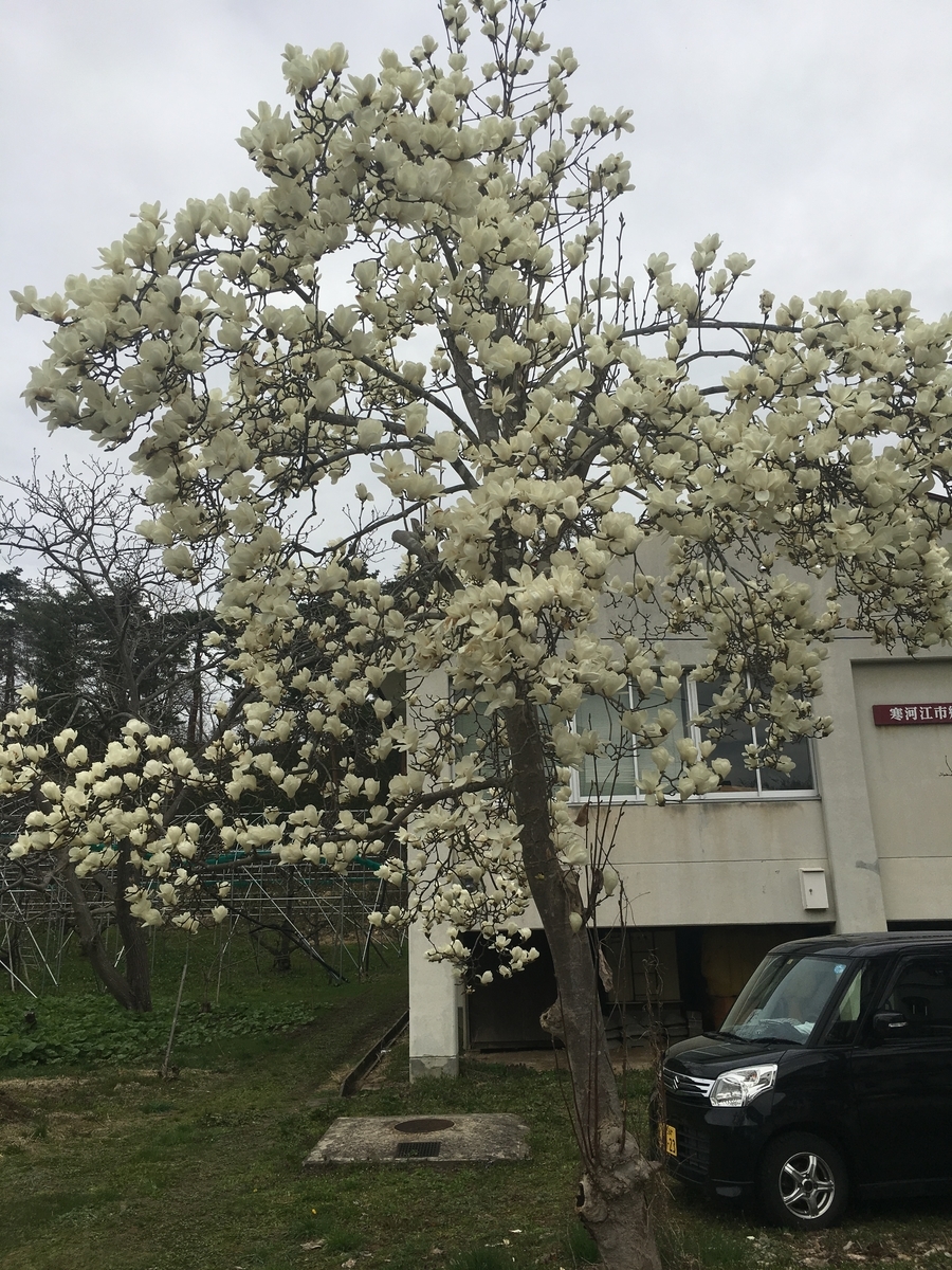 f:id:jdy00247:20190422134550j:plain f:id:jdy00247:20190422134550j:plain