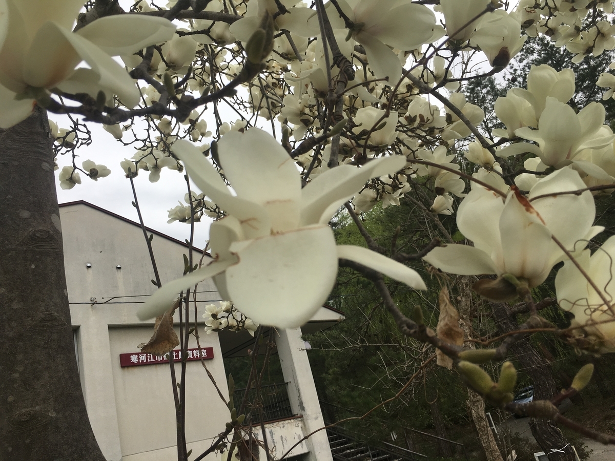 f:id:jdy00247:20190422134640j:plain f:id:jdy00247:20190422134640j:plain
