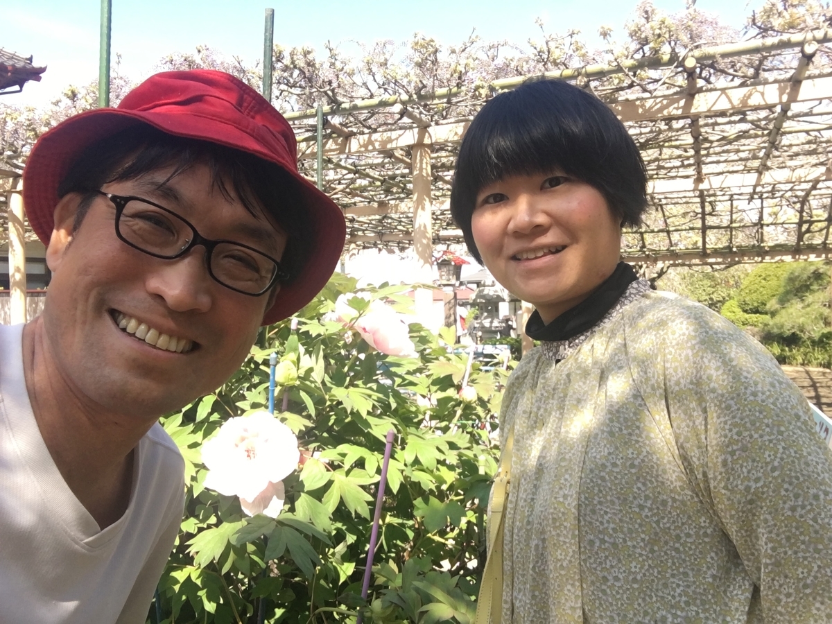 f:id:jdy00247:20190510170751j:plain f:id:jdy00247:20190510170751j:plain