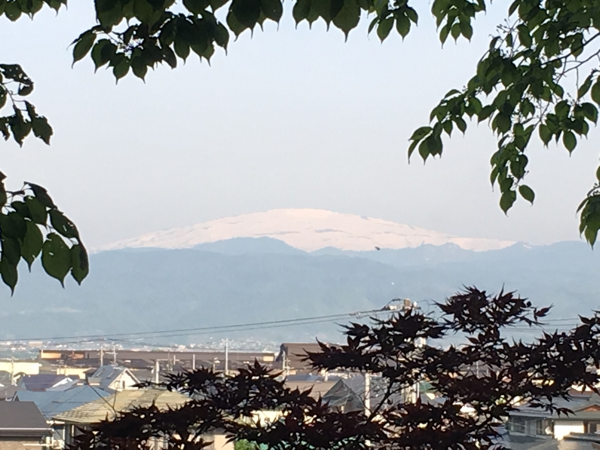 f:id:jdy00247:20190525151353j:plain f:id:jdy00247:20190525151353j:plain