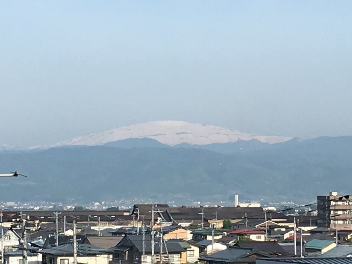 f:id:jdy00247:20190525151652j:plain f:id:jdy00247:20190525151652j:plain