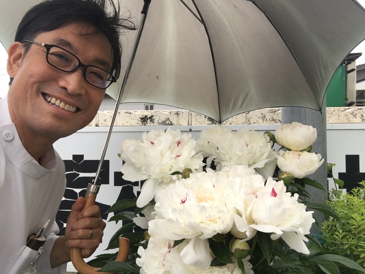 f:id:jdy00247:20190529143302j:plain f:id:jdy00247:20190529143302j:plain
