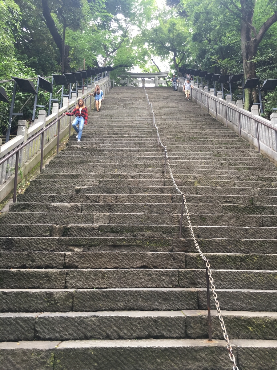 f:id:jdy00247:20190610150820j:plain f:id:jdy00247:20190610150820j:plain