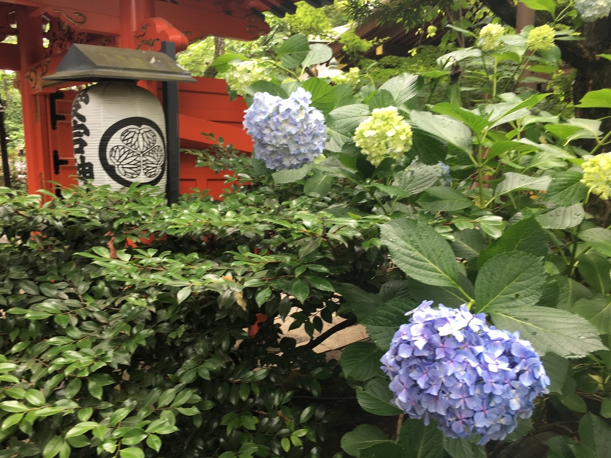 f:id:jdy00247:20190610150907j:plain f:id:jdy00247:20190610150907j:plain