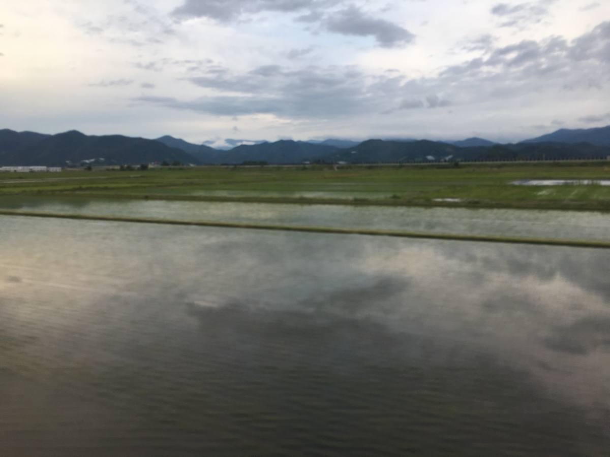 f:id:jdy00247:20190612111804j:plain f:id:jdy00247:20190612111804j:plain